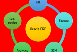 Oracle ERP Implementation - Tameez.com